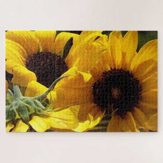 Three Sunflowers Botanical Art Fotograf Puzzle (Horizontal)