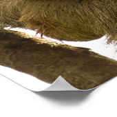 Three Toed Sloth in Costa Rica Poster (Ecke)