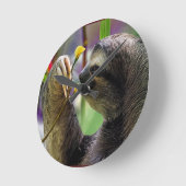 Three-Toed Tree Sloth Runde Wanduhr (Winkel)