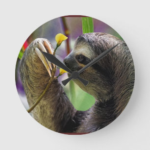 Three-Toed Tree Sloth Runde Wanduhr
