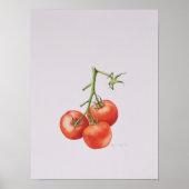 Three Tomatoes on the Vine 1997 Poster (Vorne)