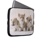 Three Welsh Corgi Laptopschutzhülle (Vorne Rechts)