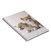 Three Welsh Corgi Notizblock (Rechte Seite)