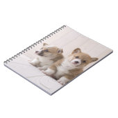Three Welsh Corgi Notizblock (Linke Seite)
