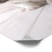 Three Welsh Corgi Poster (Ecke)