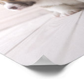 Three Welsh Corgi Poster (Ecke)