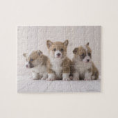 Three Welsh Corgi Puzzle (Horizontal)