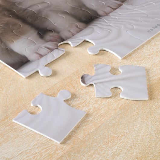 Three Welsh Corgi Puzzle (Seite)