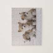 Three Welsh Corgi Puzzle (Vertikal)