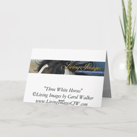 Three White Horses Greeting Card Karte (Rückseite)