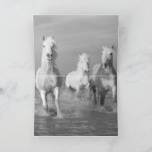 Three White Horses Greeting Card Karte (Innenseite)