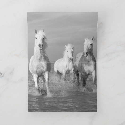 Three White Horses Greeting Card Karte (Innenseite)