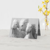 Three White Horses Greeting Card Karte (Gelbe Blume)