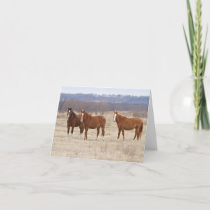 Three Wild Mustangs Dankeskarte