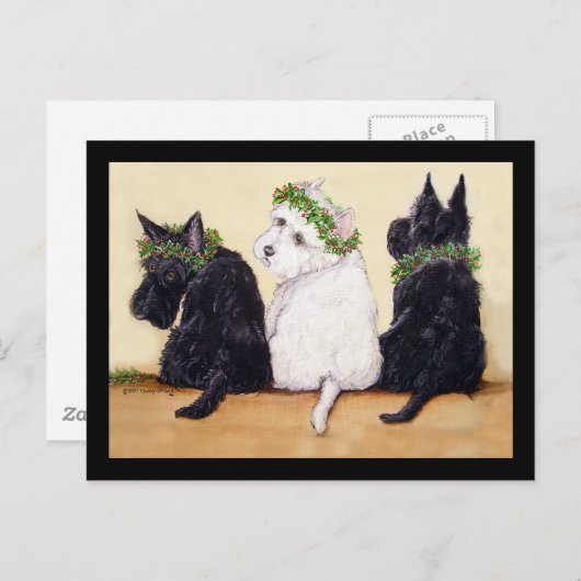 Three Wise Terriers Postkarte (Vorne/Hinten)