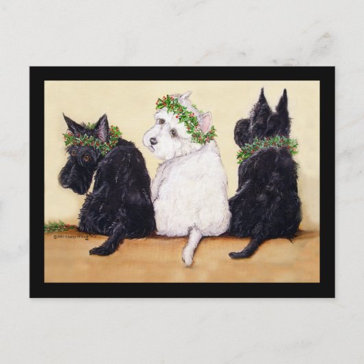Three Wise Terriers Postkarte (Vorderseite)
