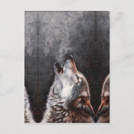 Three Wolves Howling Postkarte (Vorderseite)