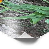 Three Yellow Tulips Sequel / Fotodruck (Ecke)