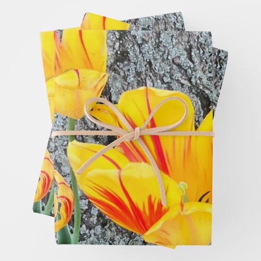 Three Yellow Tulips Sequel / Geschenkpapier Set (Beispiel)