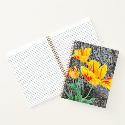 Three Yellow Tulips Sequel / Journal Notizblock (Innenseite)