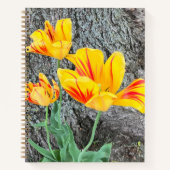 Three Yellow Tulips Sequel / Journal Notizblock (Vorderseite)
