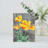 Three Yellow Tulips Sequel / Postkarte (Stehend Vorderseite)