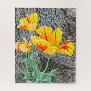 Three Yellow Tulips Sequel / Puzzle