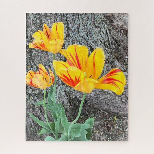 Three Yellow Tulips Sequel / Puzzle (Vertikal)