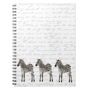 Three Zebras Notizblock