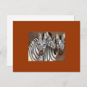 Three Zebras Postkarte (Vorne/Hinten)