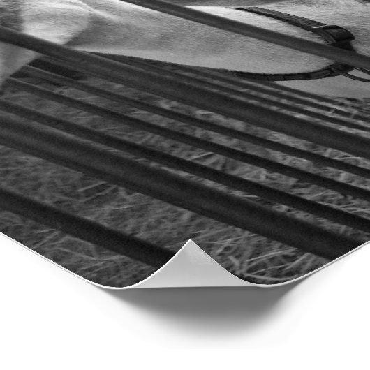 ThreeAmigos Poster (Ecke)