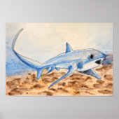 Thresher Shark Poster (Vorne)