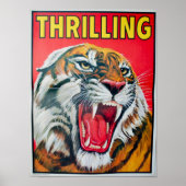 Thrilling Tiger Poster (Vorne)