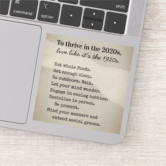 Thrive in the 2020s Advice Vinyl Aufkleber (Detail)