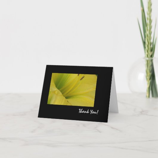 Throaty danke (Vorderseite)