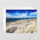 Thrombolites, Lake Thetis Western Australien Postkarte (Vorne/Hinten)