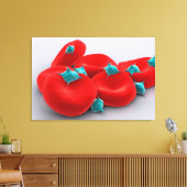 Thrombozyten mit roten Blutkörperchen 1 Leinwanddruck (Insitu (Wohnzimmer))