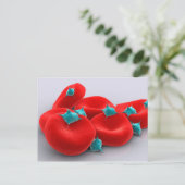 Thrombozyten mit roten Blutkörperchen 1 Postkarte (Stehend Vorderseite)