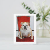 Thronhund Postkarte (Stehend Vorderseite)