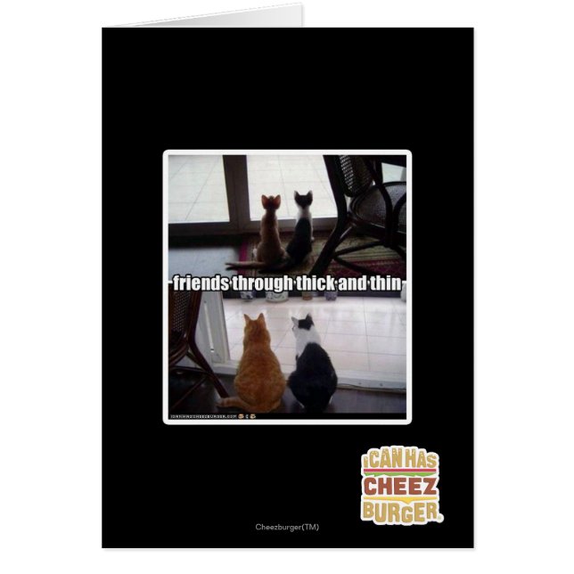 Through thick and thin (Vorne)