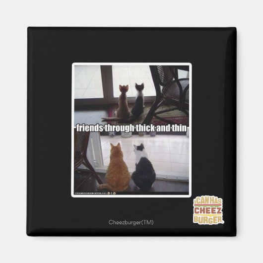 Through thick and thin magnet (Vorne)