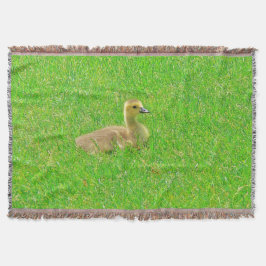 Throw Blanket Decke