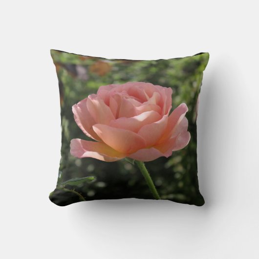 Throw-Kissen mit Rose "Abrahams Darby" Kissen (Vorderseite)