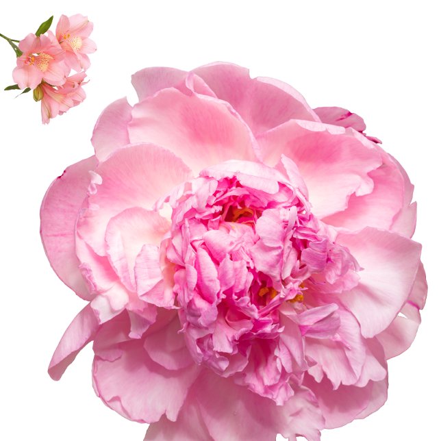 Throw Pillow Kissen (Nice pillow
https://www.zazzle.com/throw_pillow-256753760146163943)