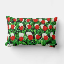 Throw Pillow Lendenkissen