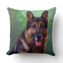 Throw-Pillow-Sammlung