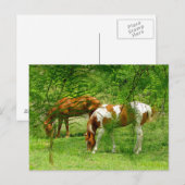 Thru-Blätter Benutzerdefinierte Postkartenvorlage Postkarte (Vorne/Hinten)