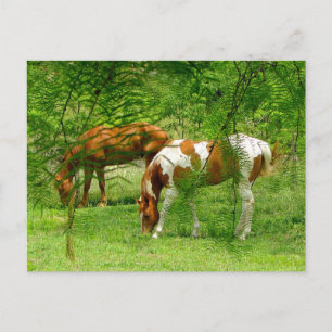 Thru-Blätter Benutzerdefinierte Postkartenvorlage Postkarte