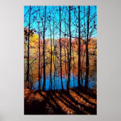 Thru Trees Poster (Vorne)