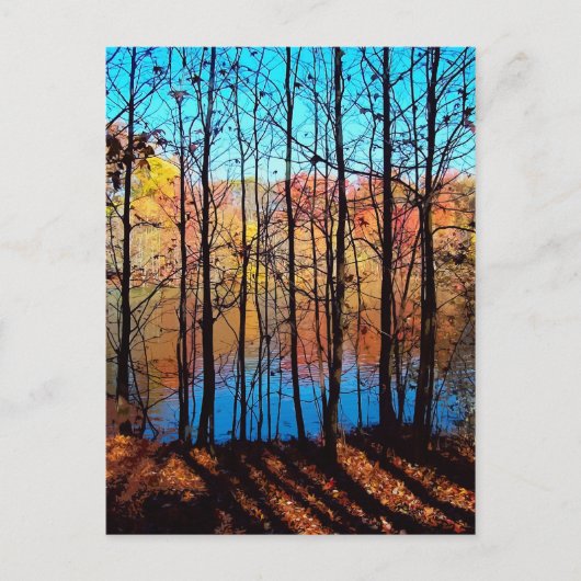 Thru Trees Postkarte (Vorderseite)